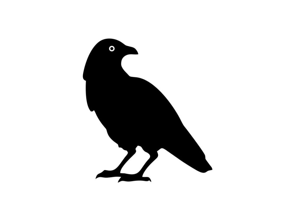 Black Crow SVG Image