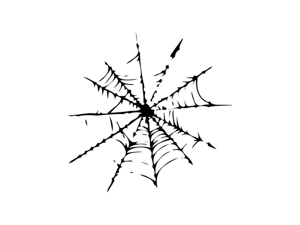 Spider Webs SVG Cut File