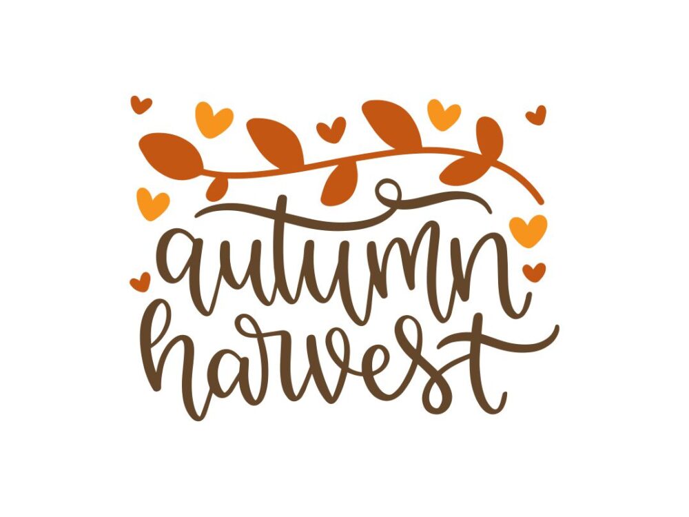 Autumn Harvest SVG Cut File