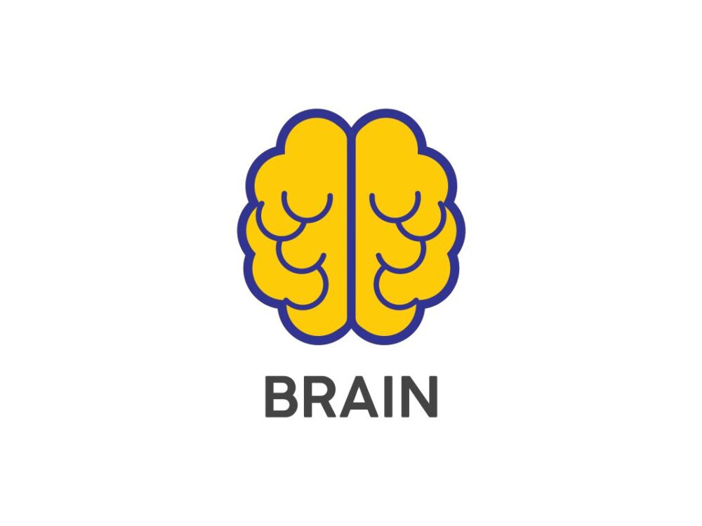 Brain Craft SVG File