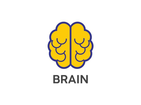 Brain Craft SVG File