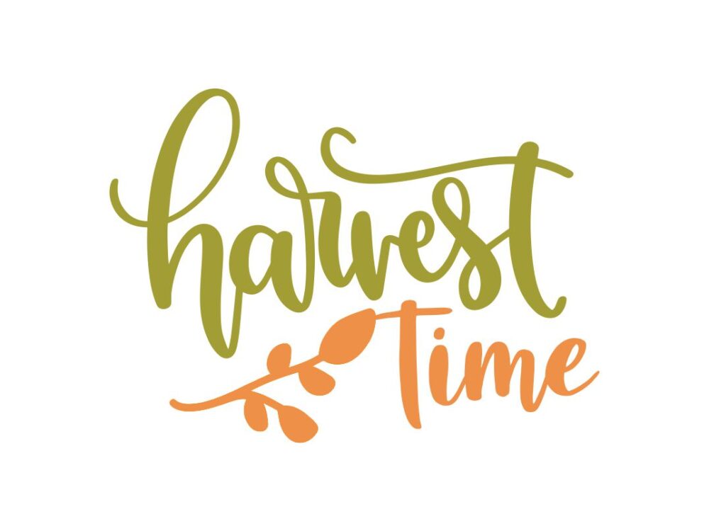 Harvest Time SVG File