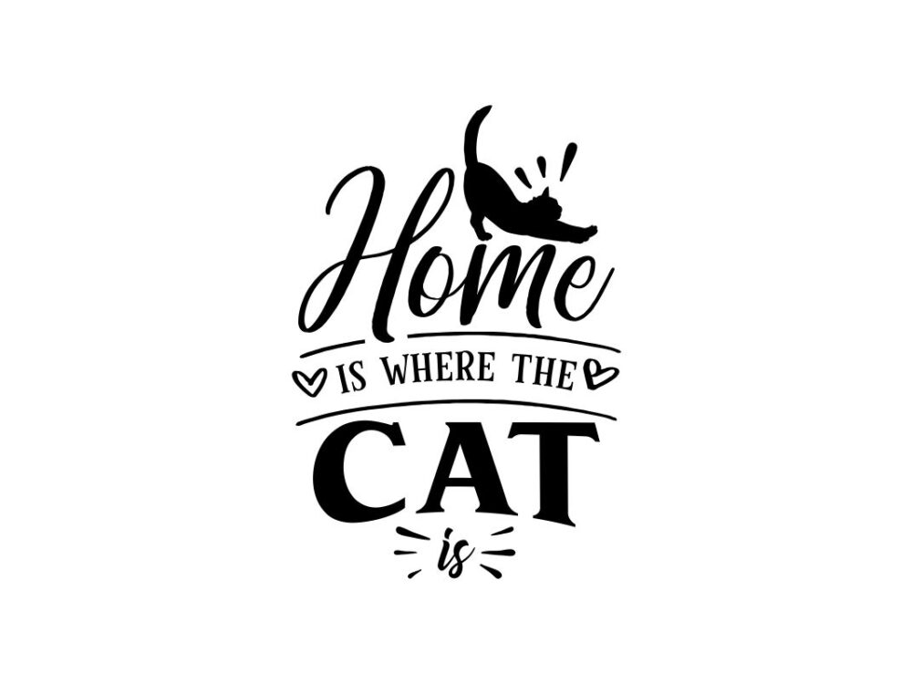 Home is where the cat is | SVG cut file